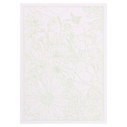 Раскраски «IQ с 3D контуром», набор, МИКС - фото 31914167