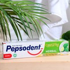 Зубная паста Pepsodent Complite 8 Herbal Комплекс 8 Травы, 190 г 9613907 - фото 10462577