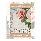 Фотошторы «Love Paris», сатен, размер 145х180 см, 2 шт - Фото 3