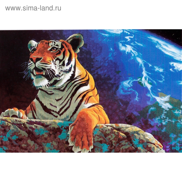 Роспись по холсту "Тигр на камне" по номерам с красками по 3 мл + кисти + инструкция + крепеж - Фото 1