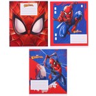Подарочный набор для мальчика, 9 предметов, Человек-паук - фото 7122673