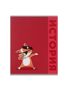 Набор предметных тетрадей Calligrata TOP «Животные», 12 предметов, 48 листов, со справочным материалом, обложка из мелованного картона - Фото 15