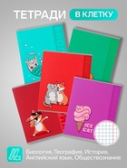 Набор предметных тетрадей Calligrata TOP «Животные», 12 предметов, 48 листов, со справочным материалом, обложка из мелованного картона - Фото 3