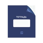 Тетрадь 24 листа в клетку Calligrata "Однотонная Классика с уголком", обложка мелованный картон, ВД-лак, блок офсет, белизна 95%, МИКС (комплект 10 шт) - фото 22195192