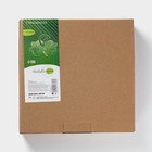 Менажница BellaTenero «Квадрат», 24.5×24.5 см, 4 ячейки, фарфор, белая - Фото 4