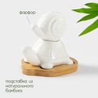 Набор для специй BellaTenero «Черепаха и улитка», солонка 25 мл, перечница 30 мл, на бамбуковой подставке, фарфор, белый - Фото 2