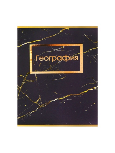Набор предметных тетрадей Calligrata «Мрамор тёмный», 10 предметов, 48 листов, со справочным материалом, обложка из мелованного картона