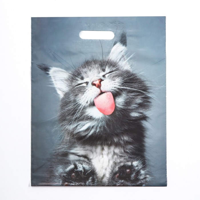 Пакет "Кот", полиэтиленовый с вырубной ручкой, 30х40 см, 50 мкм - Фото 1