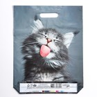 Пакет "Кот", полиэтиленовый с вырубной ручкой, 30х40 см, 50 мкм - Фото 2
