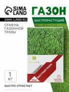 Семена газонной травы БЫСТРЫЙ, 1 кг 2277556 - Фото 1