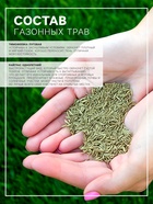 Семена газонной травы БЫСТРЫЙ, 1 кг 2277556 - Фото 2