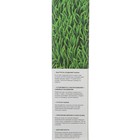 Семена газонной травы БЫСТРЫЙ, 1  кг   2277556 - фото 8979672