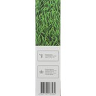 Семена газонной травы БЫСТРЫЙ, 1  кг   2277556 - Фото 4