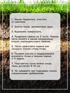 Семена газонной травы БЫСТРЫЙ, 1  кг   2277556 9657688 - фото 16534459