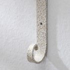 Кронштейн для кашпо, кованый, 15 × 17 см, металл, белое золото 9660736 - фото 16747430