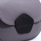Сумка-мессенджер RICHET на магните, наружный карман, длинный ремень, цвет серый - фото 12001450