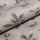 Обои Бумажные "Гомельобои" Алесия 62, 0,53х10,05м 9502662