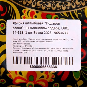 

Яблоня штамбовая "Подарок осени", на клоновом подвое, ОКС, 54-118, 1 шт Весна 2023