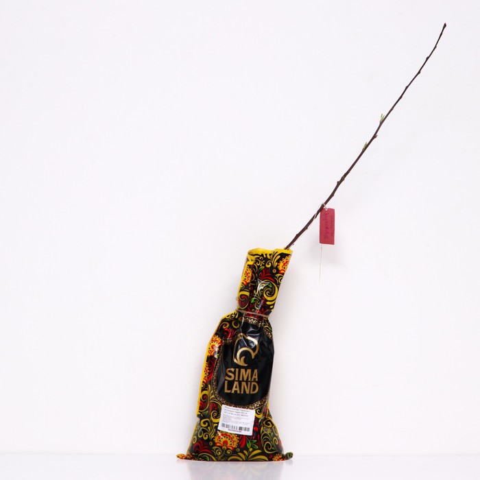 Саженец Яблоня штамбовая ОКС Родниковая 1 шт. Весна 2026