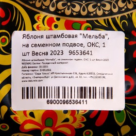 

Яблоня штамбовая "Мельба", на семенном подвое, ОКС, 1 шт Весна 2023