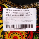 Саженец Яблоня штамбовая ОКС Благая весть 1 шт. Весна 2026  (артикул 9653644)  большой выбор товаров оптом и в розницу по низким ценам с доставкой