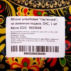 Саженец Яблоня штамбовая ОКС Настенька 1 шт. Весна 2026  (артикул 9653648)  большой выбор товаров оптом и в розницу по низким ценам с доставкой