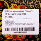 Саженец Яблоня кустовая ОКС Кроха 1 шт. Весна 2026  (артикул 9653652)  большой выбор товаров оптом и в розницу по низким ценам с доставкой
