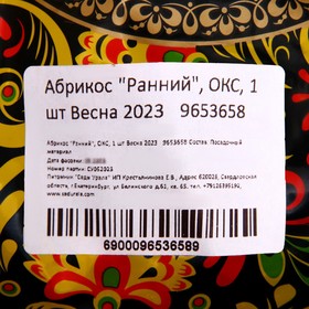 

Абрикос "Ранний", ОКС, 1 шт Весна 2023