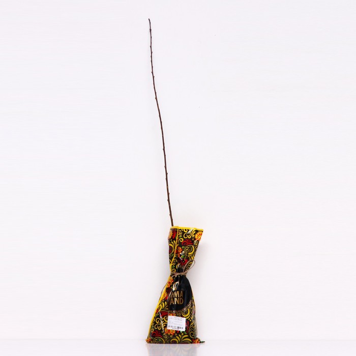 Саженец Слива привитая (ОКС) Михальчик 1 шт. Весна 2026 - Фото 1