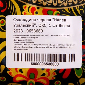 

Смородина черная "Напев Уральский", ОКС, 1 шт Весна 2023