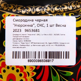 

Смородина черная "Нюрсинка", ОКС, 1 шт Весна 2023