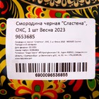 Саженец Смородина черная (ОКС) Сластена, 1 шт, Осень 2025 9653685 - фото 8093908