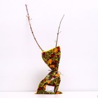 Саженец Жимолость (ОКС) Хоней би, 1 шт, Осень 2025 - Фото 1