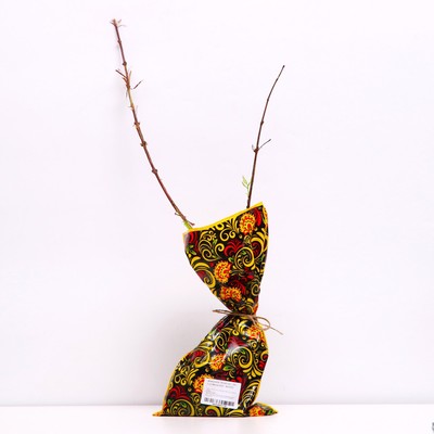 Саженец Жимолость (ОКС) Хоней би, 1 шт, Осень 2025