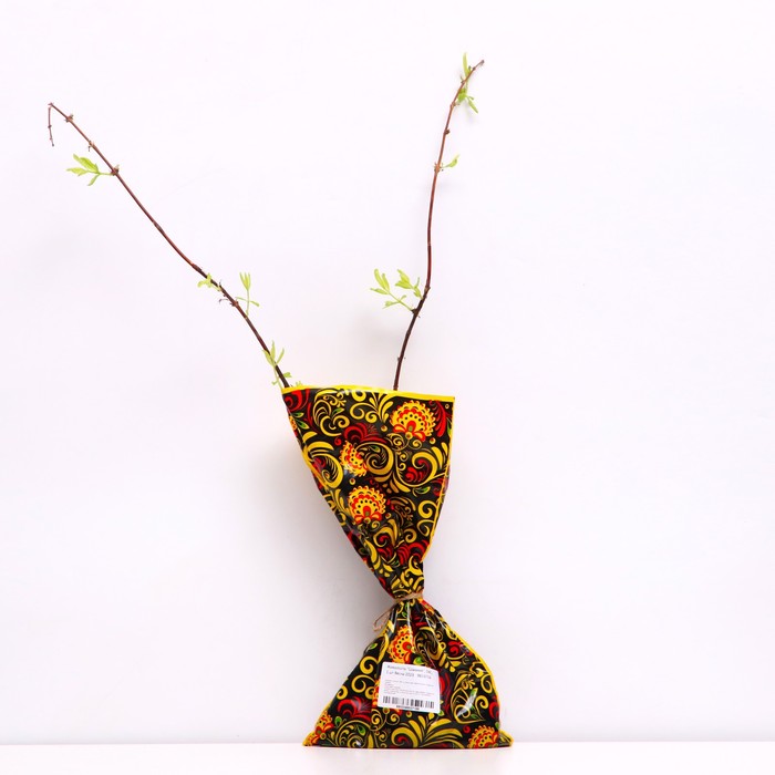 Саженец Жимолость (ОКС) Шахиня, 1 шт, Осень 2025 - Фото 1