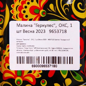 

Малина "Геркулес", ОКС, 1 шт Весна 2023