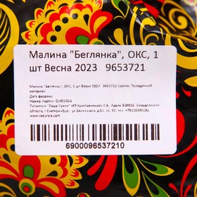 

Малина "Беглянка", ОКС, 1 шт Весна 2023