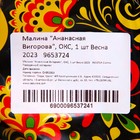 Саженец Малина (ОКС) Ананасная Вигорова, 1 шт, Осень 2025 9653724