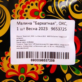 

Малина "Бархатная", ОКС, 1 шт Весна 2023