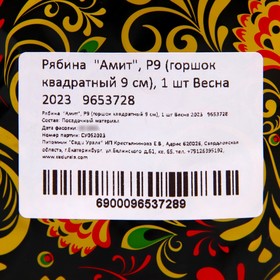 

Рябина "Амит", Р9 (горшок квадратный 9 см), 1 шт Весна 2023