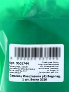 Саженец Ива «Водопад» 1 шт., Весна 2026, «Сады Урала» - Фото 2