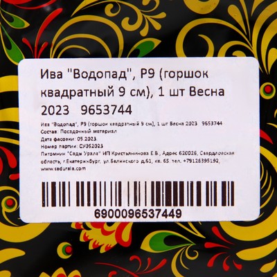 Саженец Ива р9 Водопад 1 шт. Весна 2026