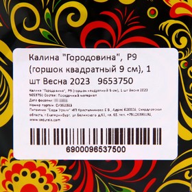 

Калина "Городовина", Р9 (горшок квадратный 9 см), 1 шт Весна 2023