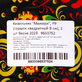 

Кизильник "Мажори", Р9 (горшок квадратный 9 см), 1 шт Весна 2023
