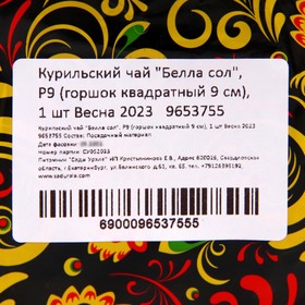 

Курильский чай "Белла сол", Р9 (горшок квадратный 9 см), 1 шт Весна 2023