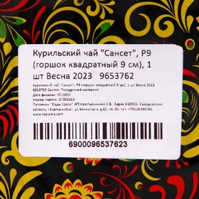 

Курильский чай "Сансет", Р9 (горшок квадратный 9 см), 1 шт Весна 2023