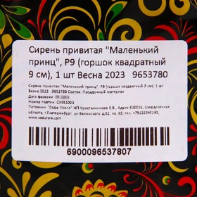 

Сирень привитая "Маленький принц", Р9 (горшок квадратный 9 см), 1 шт Весна 2023