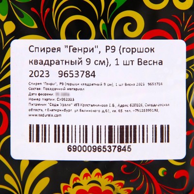 Саженец Спирея Генри 1 шт. Весна 2026