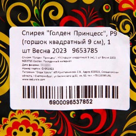 

Спирея "Голден Принцесс", Р9 (горшок квадратный 9 см), 1 шт Весна 2023