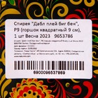 Саженец Спирея (горшок р9) Дабл Плей Биг Бэнг, 1 шт, Осень 2025 9653786